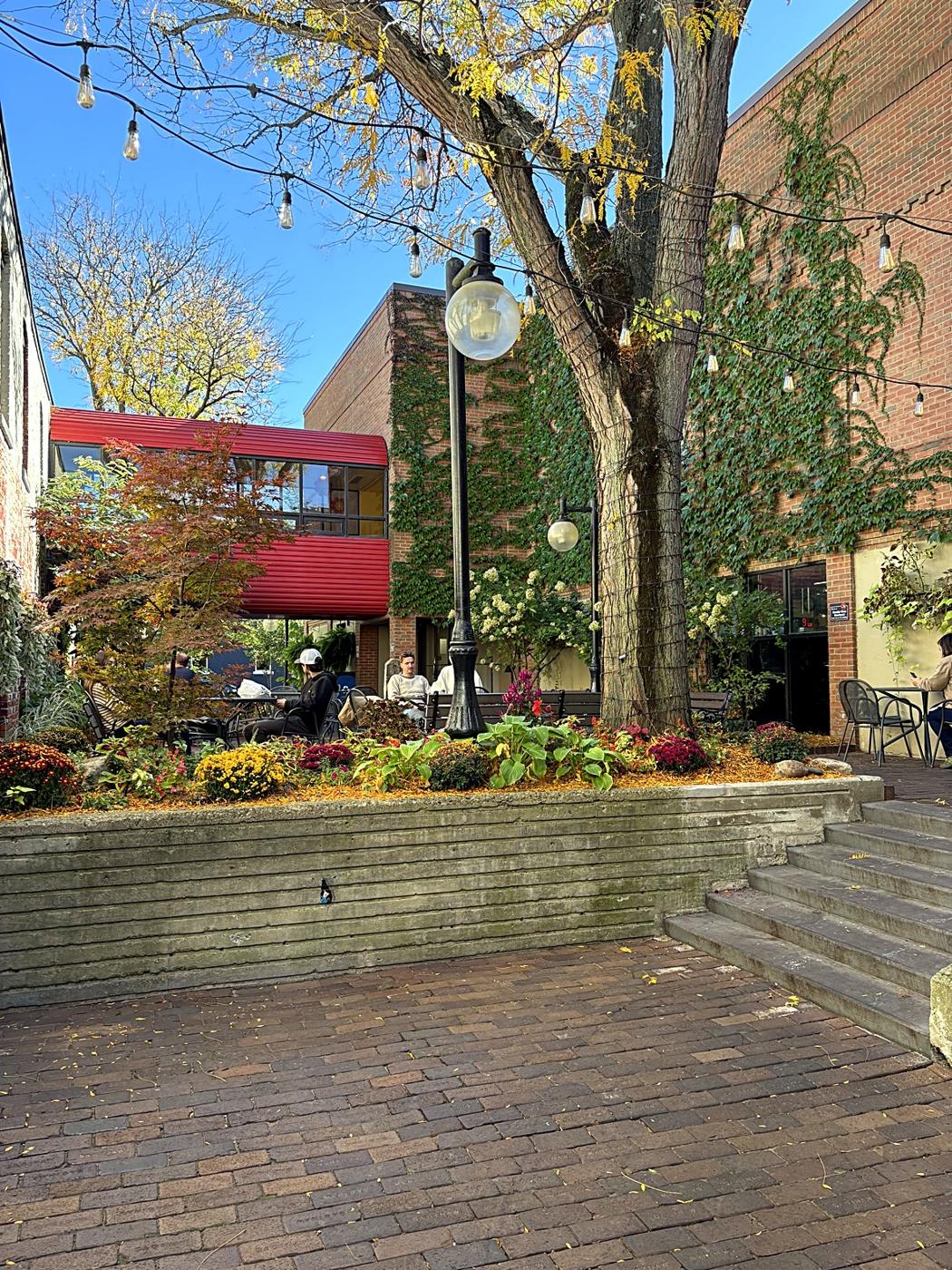 String lights and fall color over a Kerrytown courtyard