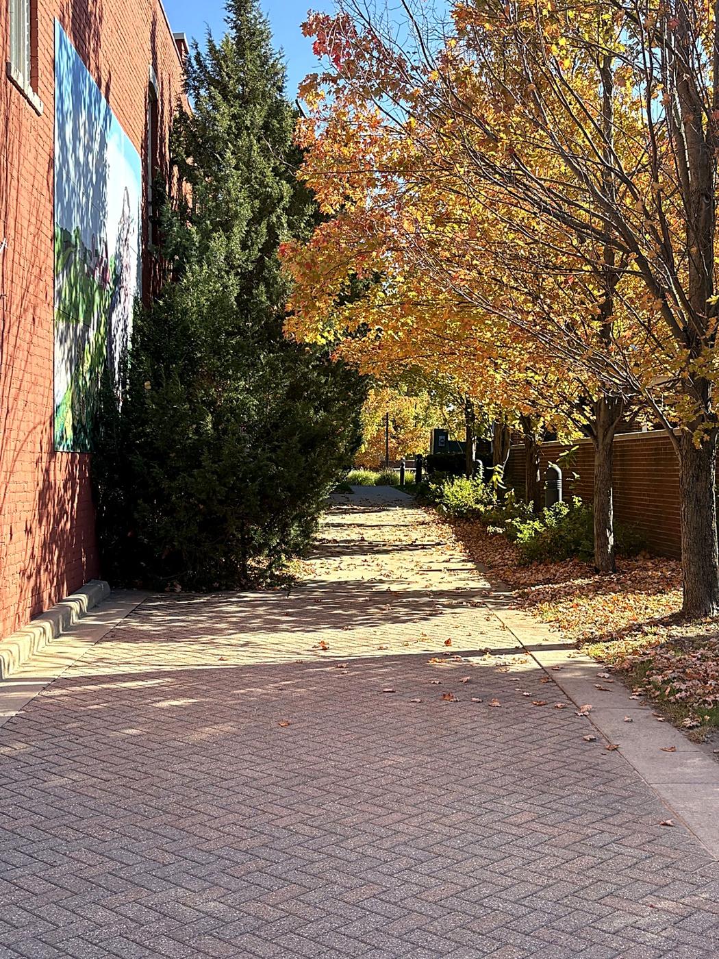 A brick walkway under fall trees in downtown Chelsea
