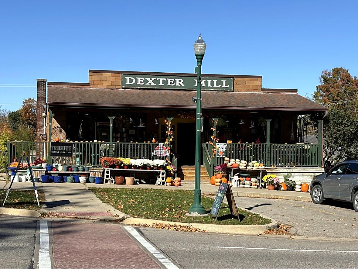The Dexter Mill storefront with pumpkins and mums out front