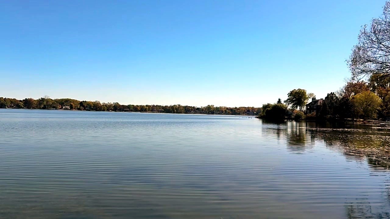 Whitmore Lake shoreline with trees reflected in calm water